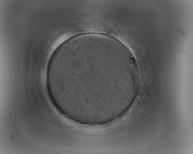 X0000113550008200910091313
