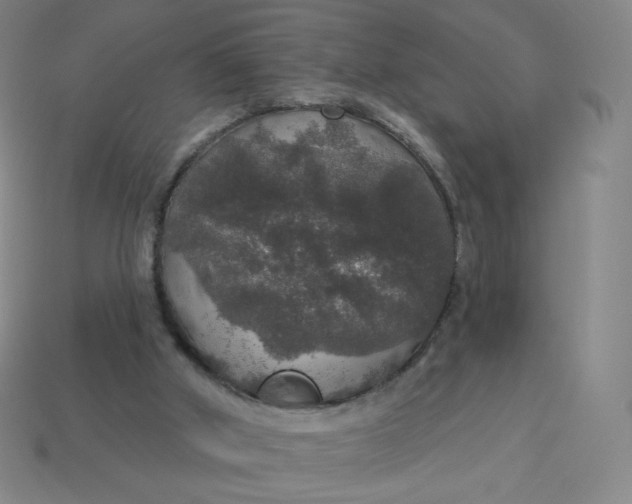 X0000113550010200910091313