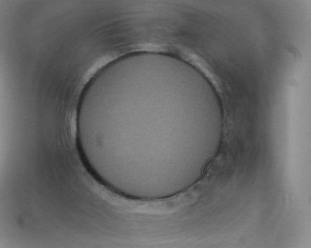 X0000113550011200910091313