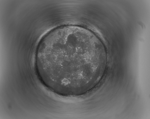 X0000113550012200910091313