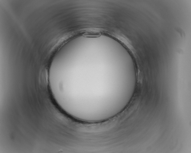 X0000113550013200910091313