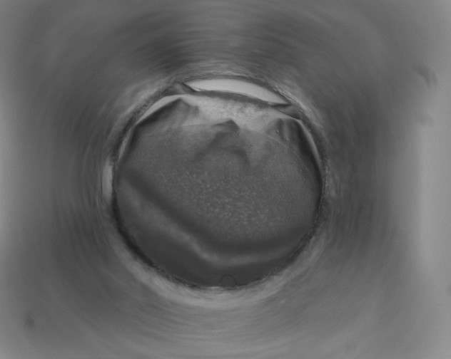 X0000113550014200910091313
