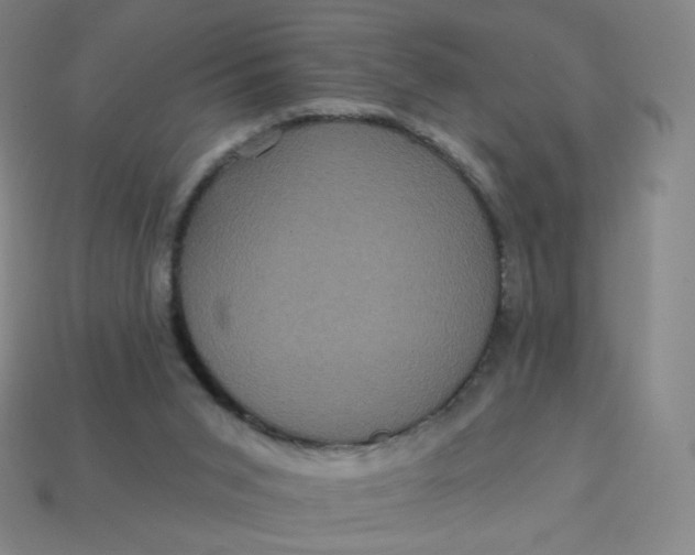 X0000113550015200910091313