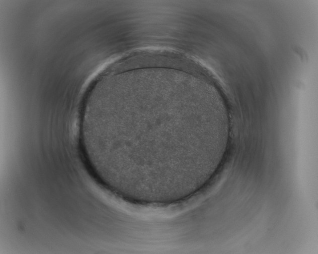 X0000113550016200910091313