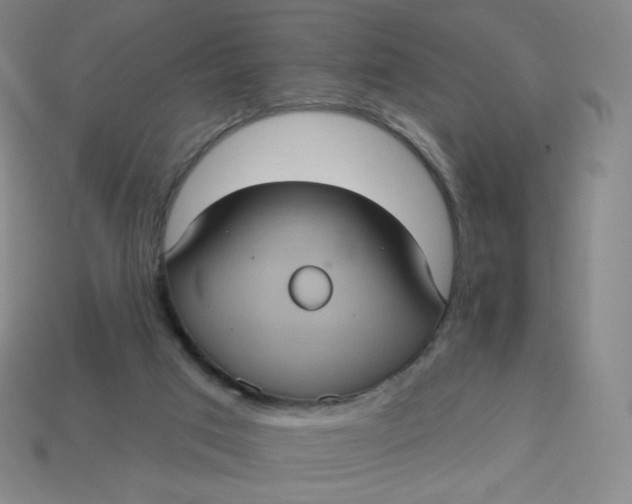 X0000113550017200910091313