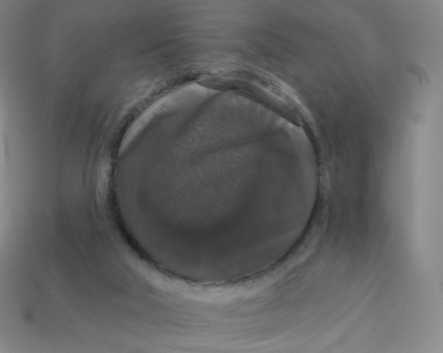 X0000113550018200910091313