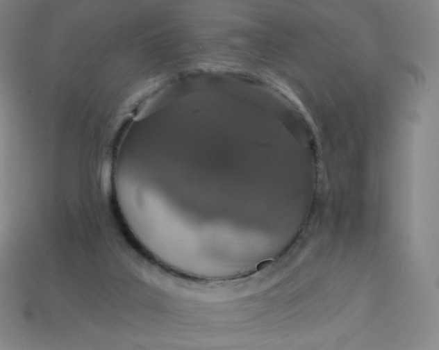 X0000113550019200910091313