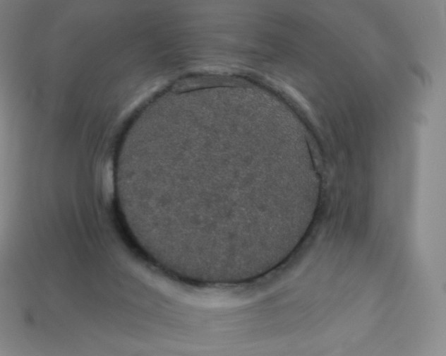X0000113550020200910091313