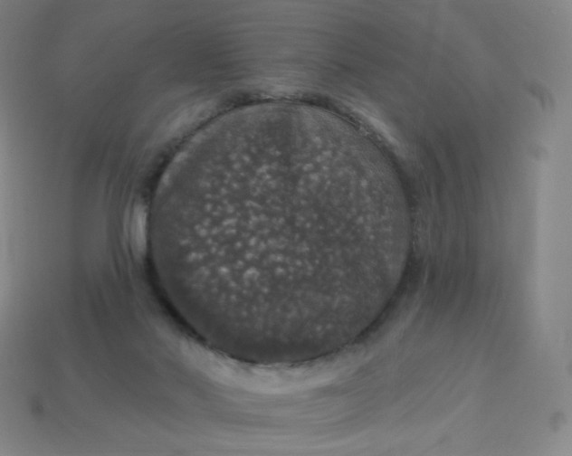 X0000113550022200910091313