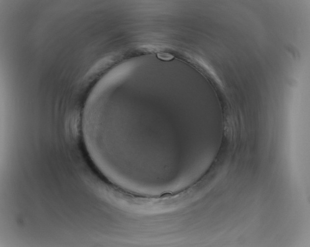 X0000113550023200910091313