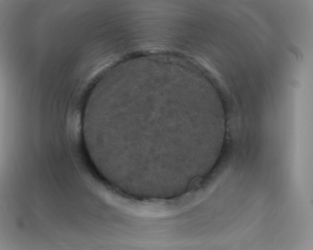 X0000113550024200910091313