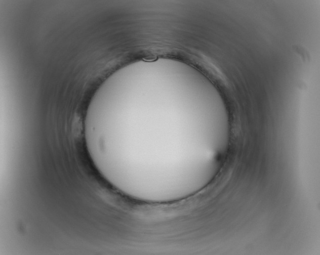 X0000113550025200910091313