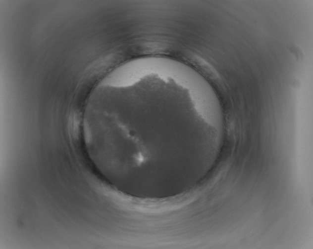 X0000113550026200910091313