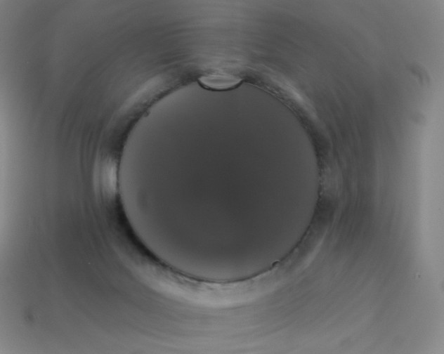 X0000113550027200910091313