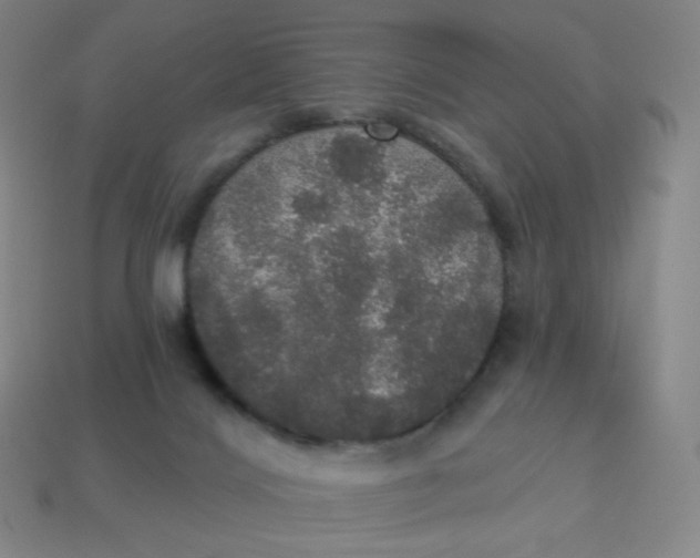 X0000113550028200910091313