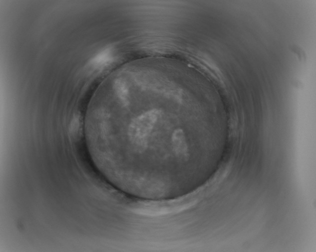 X0000113550029200910091313
