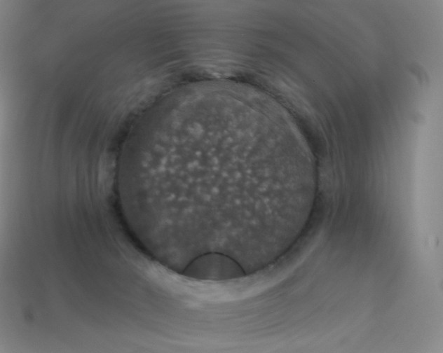 X0000113550030200910091313