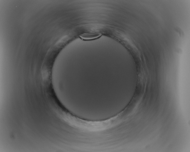 X0000113550031200910091313