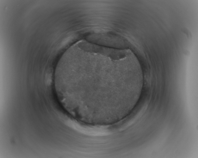 X0000113550032200910091313