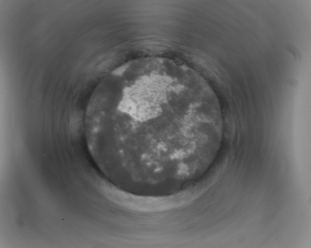 X0000113550034200910091313