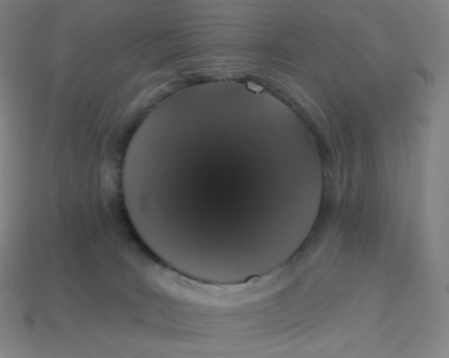 X0000113550035200910091313