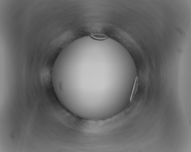 X0000113550037200910091313