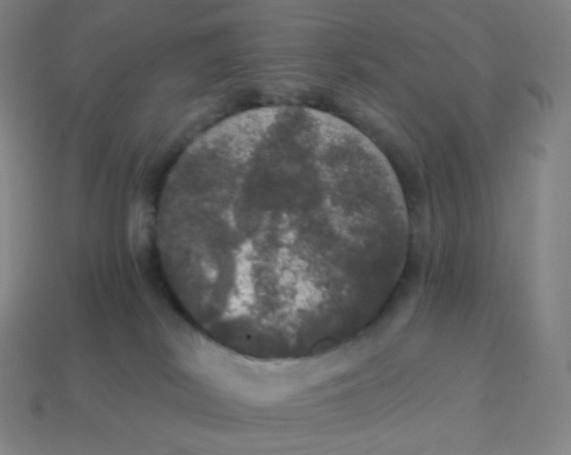X0000113550038200910091313