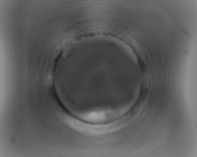 X0000113550039200910091313