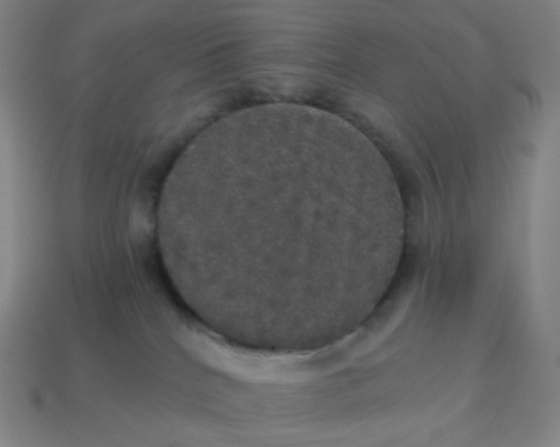 X0000113550040200910091313
