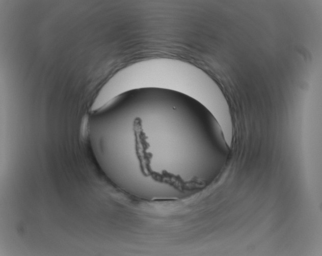 X0000113550041200910091313