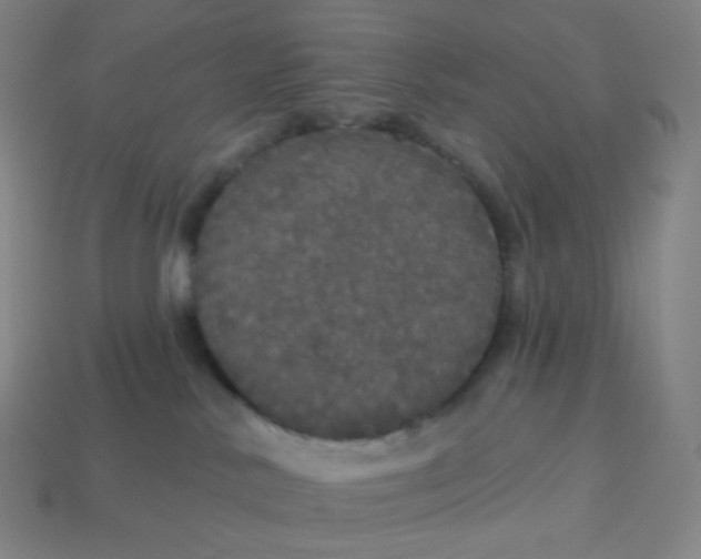 X0000113550042200910091313