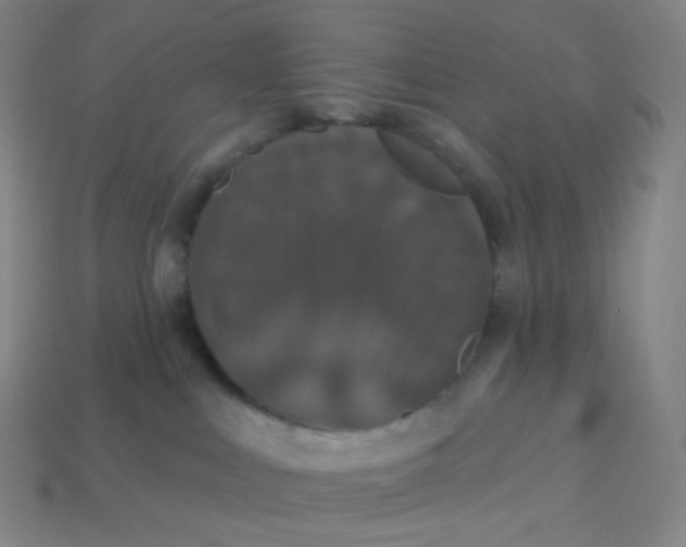 X0000113550043200910091313