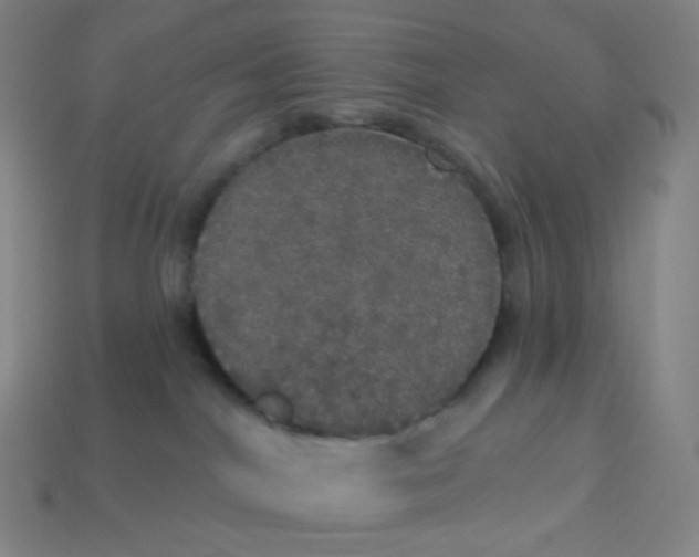 X0000113550044200910091313