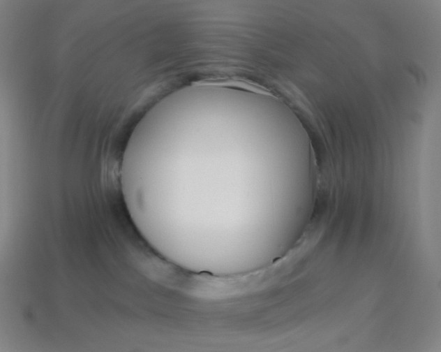 X0000113550045200910091313