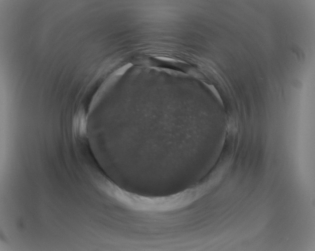 X0000113550046200910091313