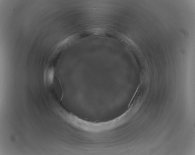 X0000113550047200910091313
