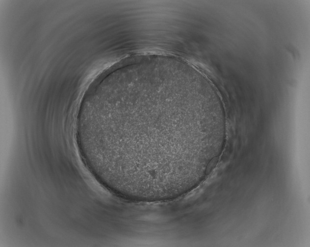 X0000113550049200910091312