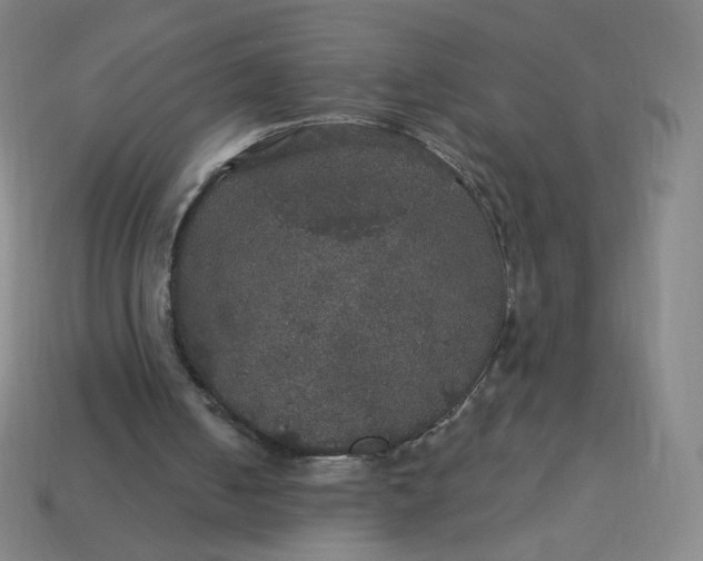 X0000113550050200910091312