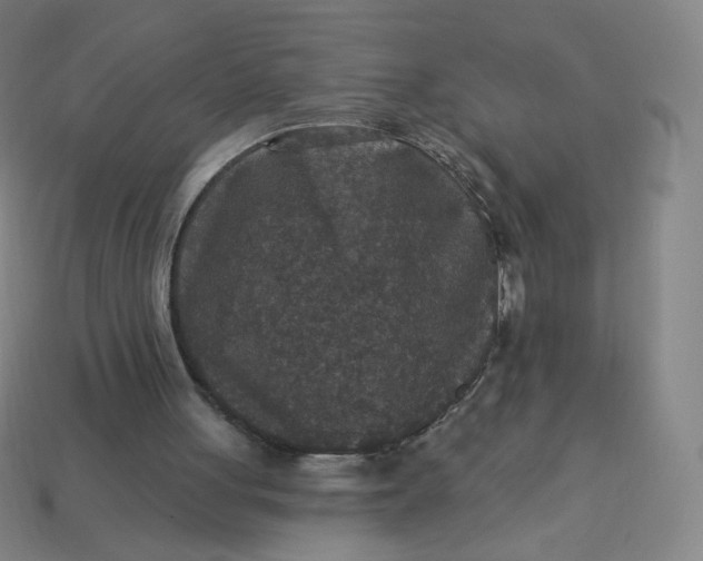 X0000113550051200910091312