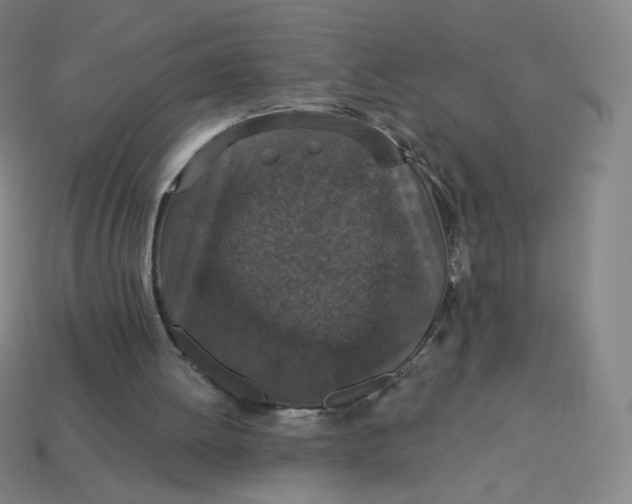 X0000113550052200910091312