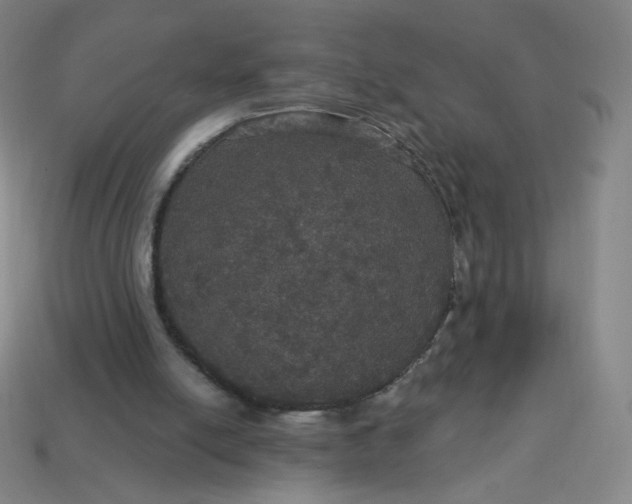 X0000113550054200910091312