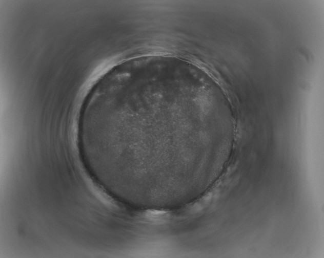 X0000113550055200910091312