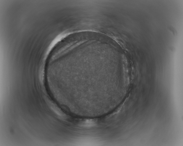 X0000113550056200910091312