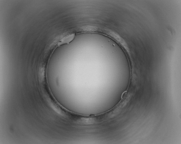 X0000113550057200910091312