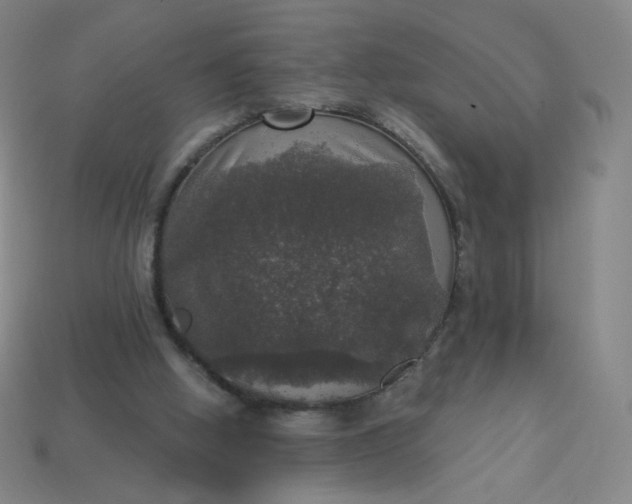 X0000113550058200910091312