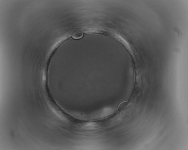 X0000113550059200910091312