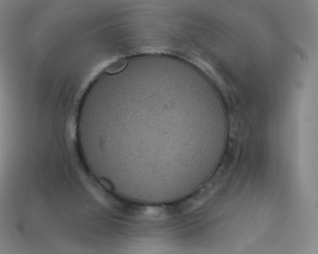 X0000113550060200910091312