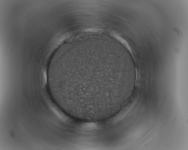X0000113550061200910091312