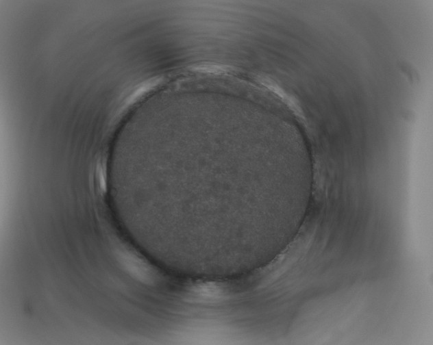 X0000113550062200910091312