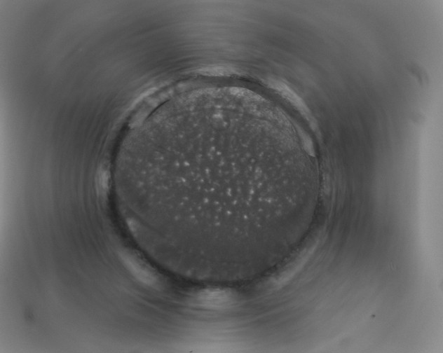 X0000113550063200910091312